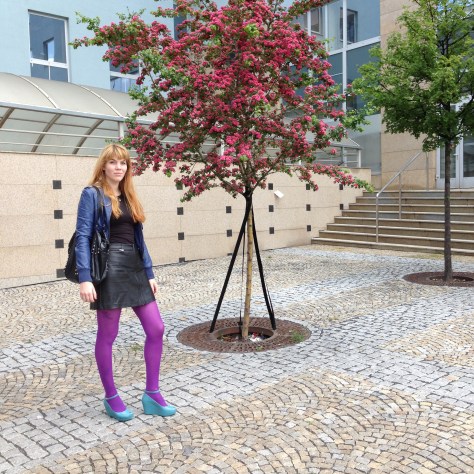 A beautiful Spring day