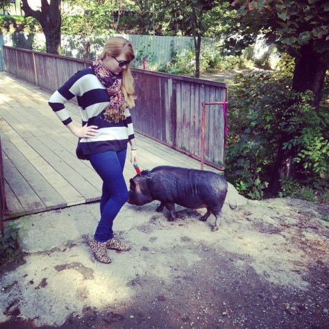 1388828_772098872851543_592725592_n