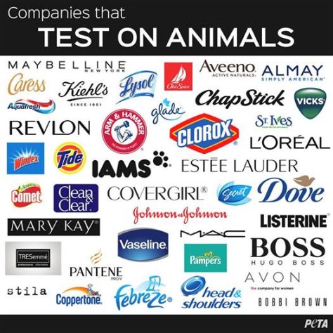 companies that test on animals