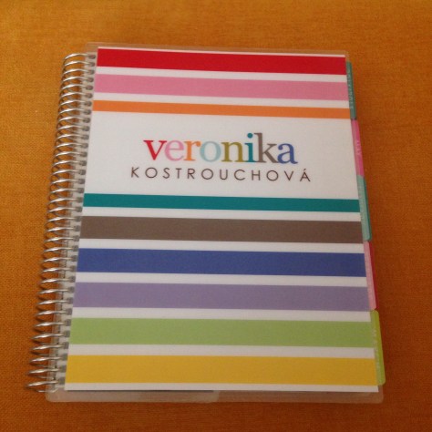 erin condren taffy stripes