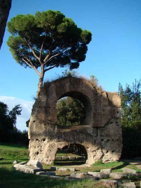 247803_10151083903598927_1496060692_n