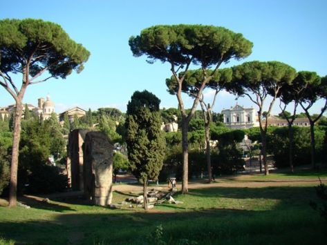 251715_10151083903673927_824309424_n